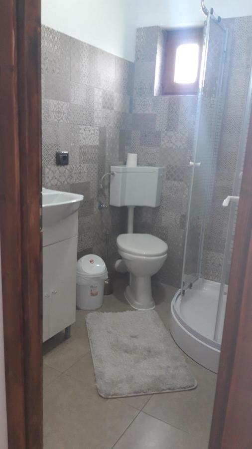 מלון Statiunea Casa Viorica מראה חיצוני תמונה